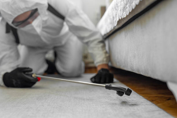 Professional Termite Control technician working in Centralia, MO