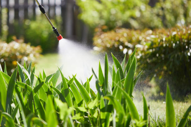24/7 Emergency Termite Control experts in Centralia, MO