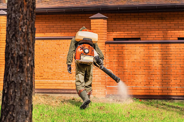 Top rated local Termite Control specialists in Centralia, MO